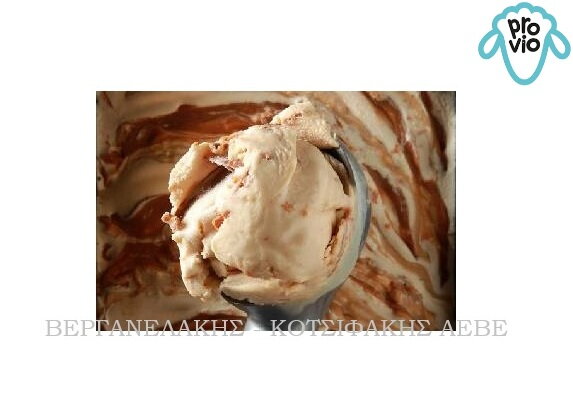 ΠΡΟΒΕΙΟ ΠΑΓΩΤΟ ΚΑΡΑΜΕΛΑ ΓΑΛΑΚΤΟΣ ΜΕ ΑΛΑΤΙ 6 LT