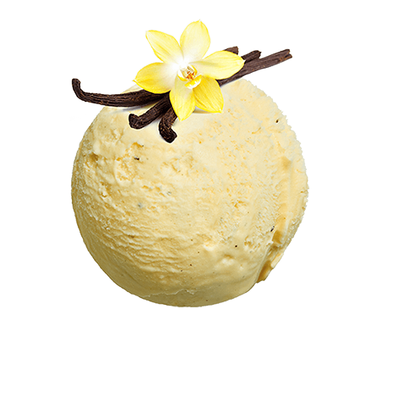 LA CREMERIA ΒΑΝΙΛΙΑ 5000 ML